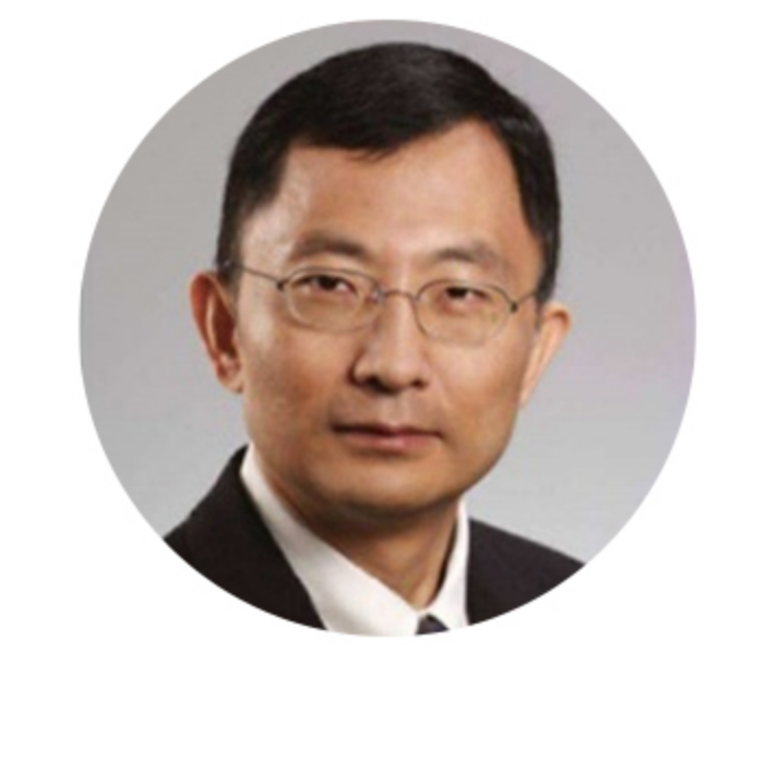 Prof. Huajian Gao (IUTAM Rep)